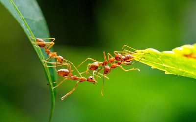 67 Minutes of Generosity to a Lifetime